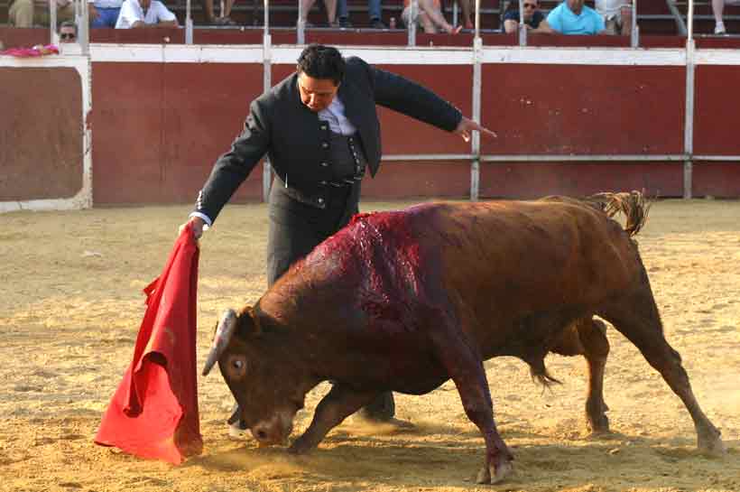 Última faena de Tomás Campuzano.