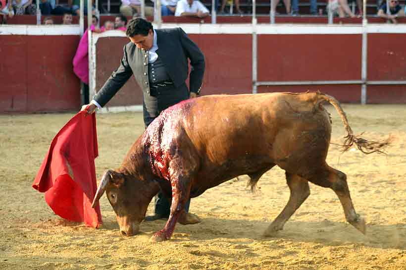 Última faena de Tomás Campuzano.