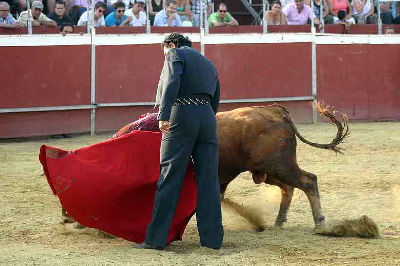 Última faena de Tomás Campuzano.