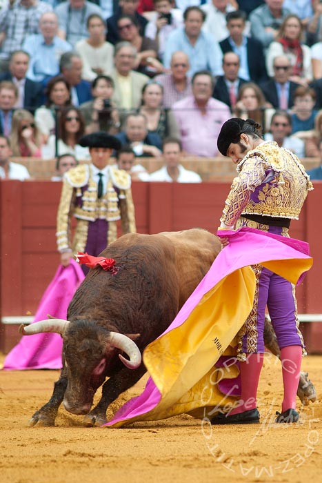 Excelente media de remate de Morante, de lo poco visto esta tarde. (FOTO: lopezmatito.com)