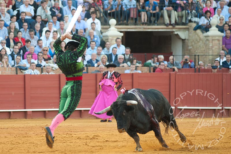 El banderillero Javier Ambel.