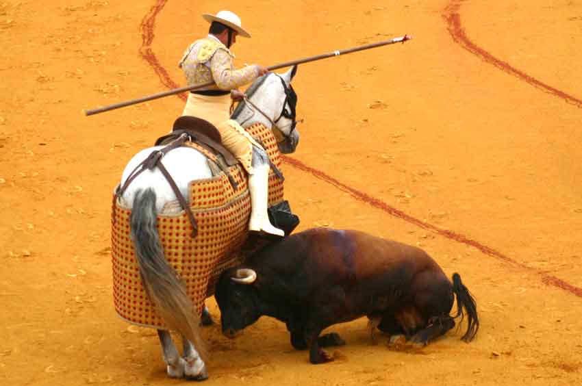 Un toro de Pereda, ayer en la primera de San Miguel.