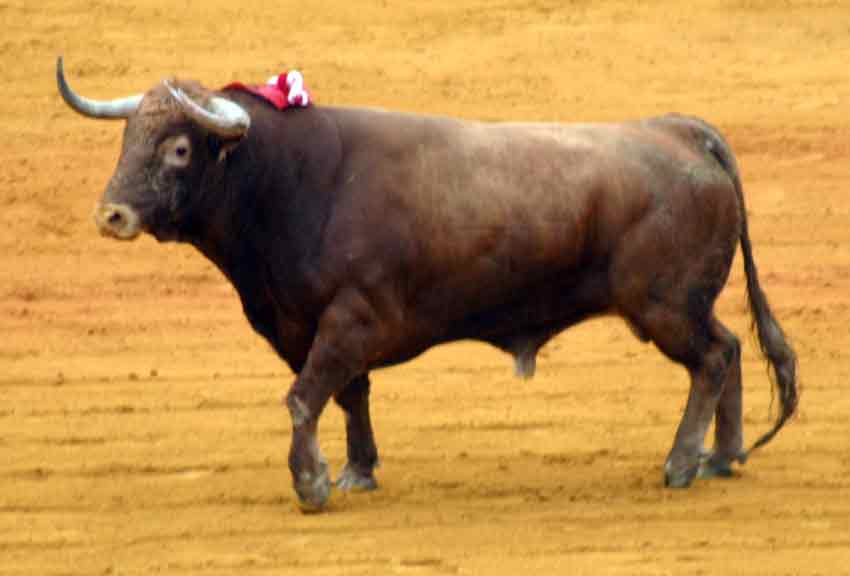 El tercero, devuelto.