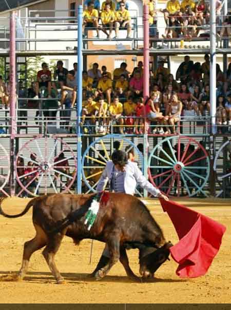 Uno de los cuatro aspirante de la primera novillada celebrada hoy en La Algaba. (FOTO: Vanessa Gómez/ABC-Sevilla)