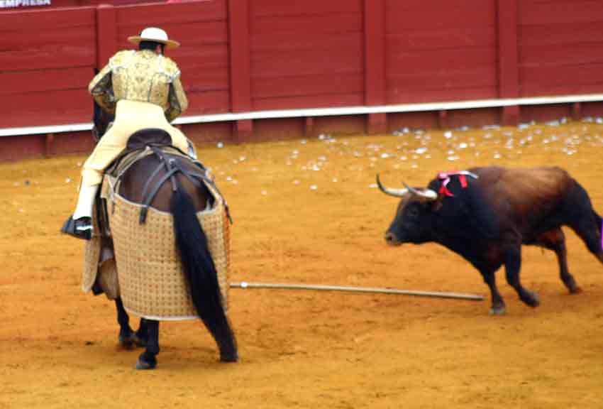 Un picador sin vara es como un banderillero sin banderillas.