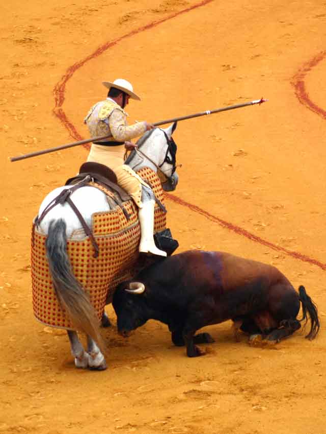 Imagen que refleja claramente la desastrosa corrida de Pereda lidiada hoy en la Maestranza. (FOTO: Javier Martínez)