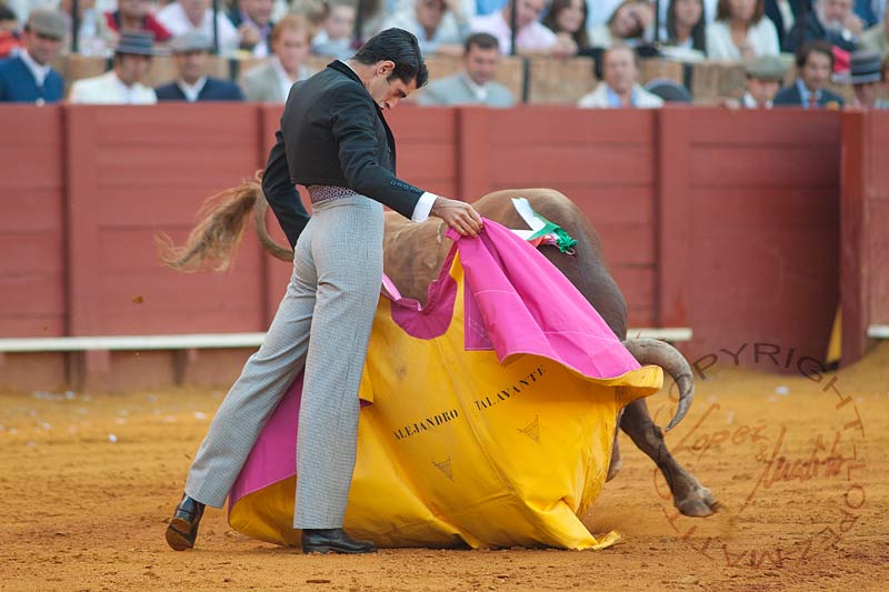 Alejandro Talavante.