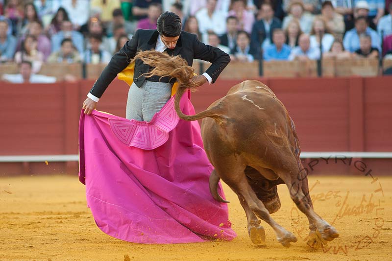 Alejandro Talavante.