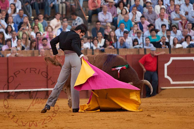 Alejandro Talavante.