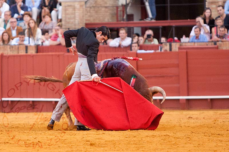 Alejandro Talavante.