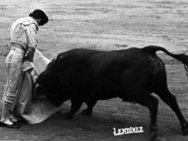 Curro Puya destacó en su toreo con el capote. (FOTO: Arjona)
