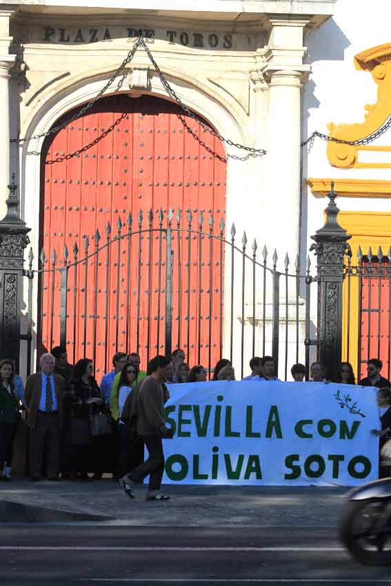 La pancarta de apoyo a Oliva Soto junto a la Puerta del Príncipe.