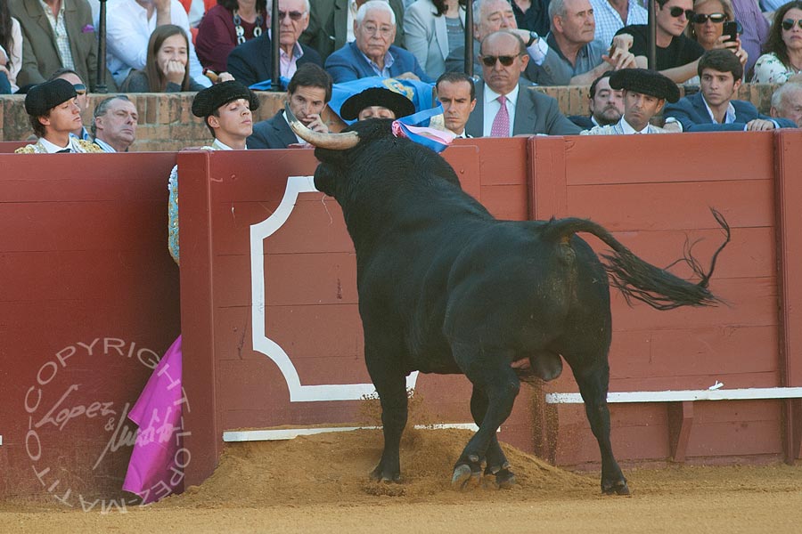 Gonzalo Caballero.