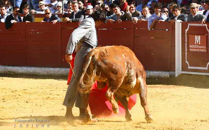 Curro Díaz.