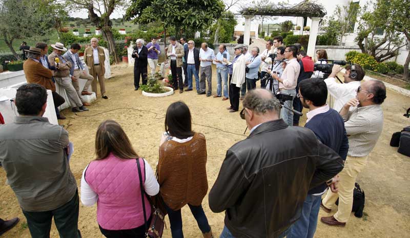 Ante la prensa.