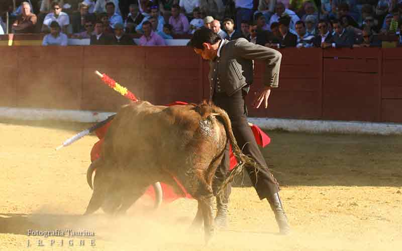 Torres Jerez.