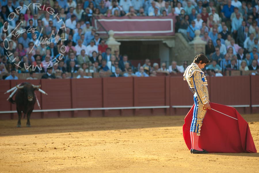 Sebastián Castella.