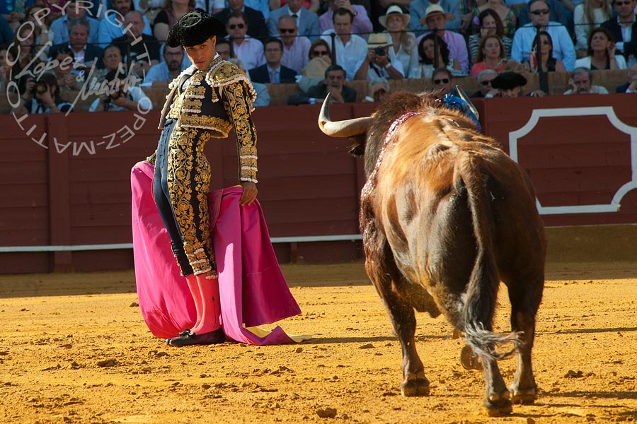 Iván Fandiño.