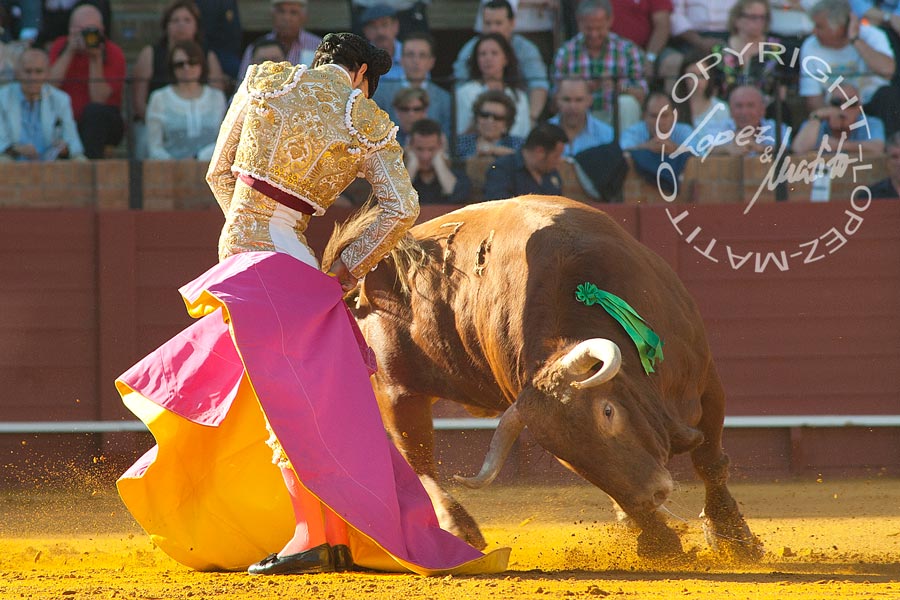 Antonio Nazaré.