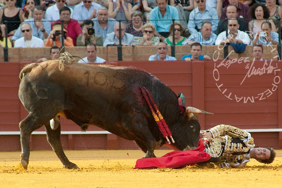 Daniel Luque cayó al albero y sufrió un puntazo. (FOTO: López-Matito)