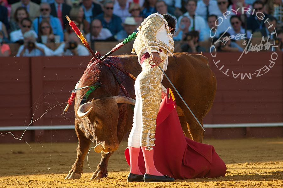 Antonio Nazaré.