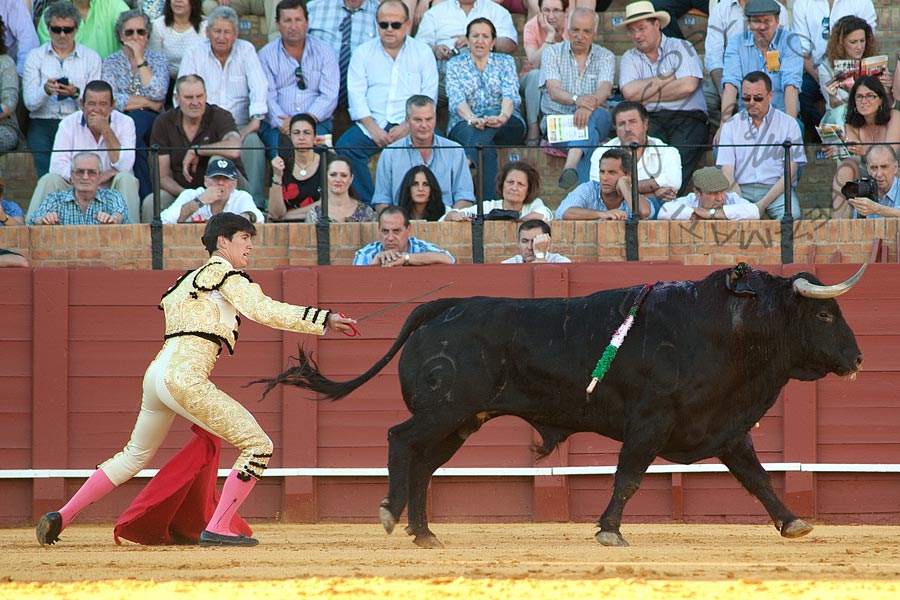 Esaú Fernández.