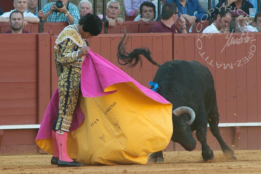 Iván Fandiño.