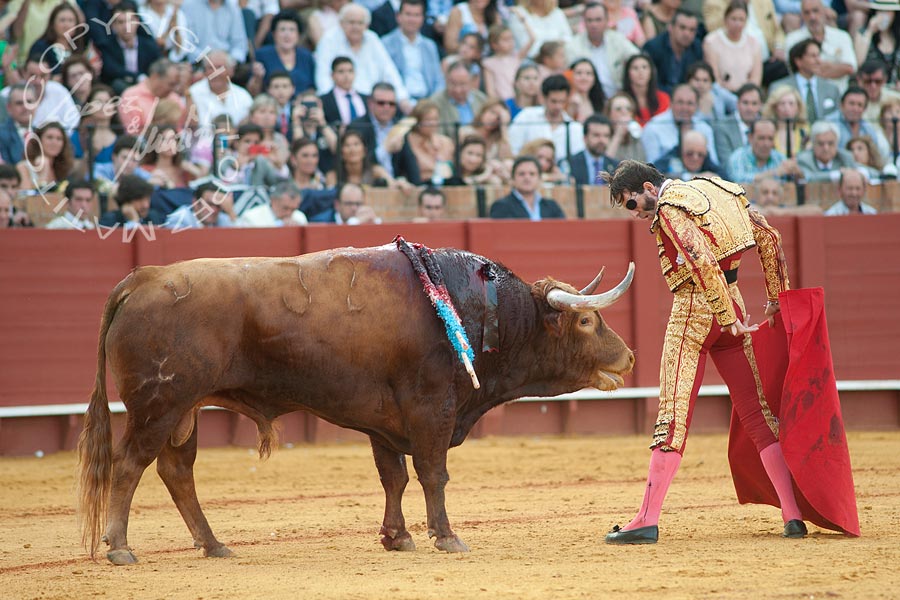 Juan José Padilla.