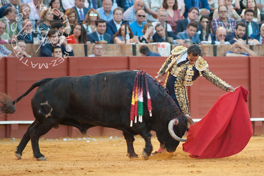 Iván Fandiño.