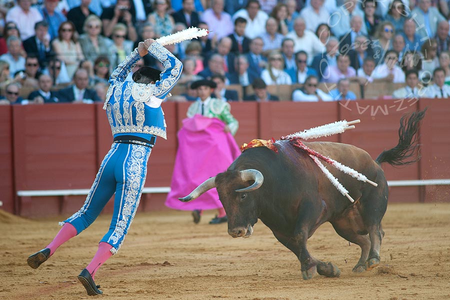 El Boni en banderillas.