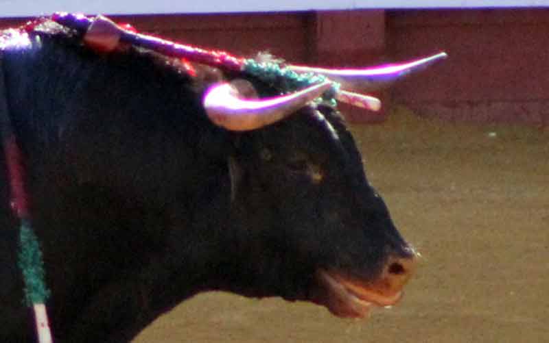 Maestranza, martes de farolillos.