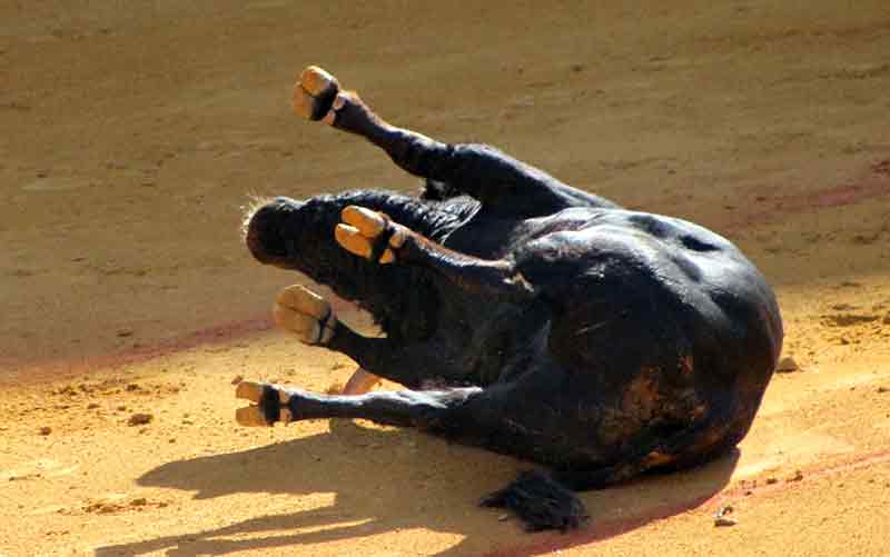 Maestranza, martes de farolillos.