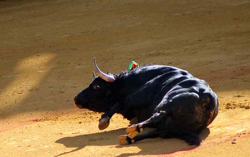 Maestranza, martes de farolillos.