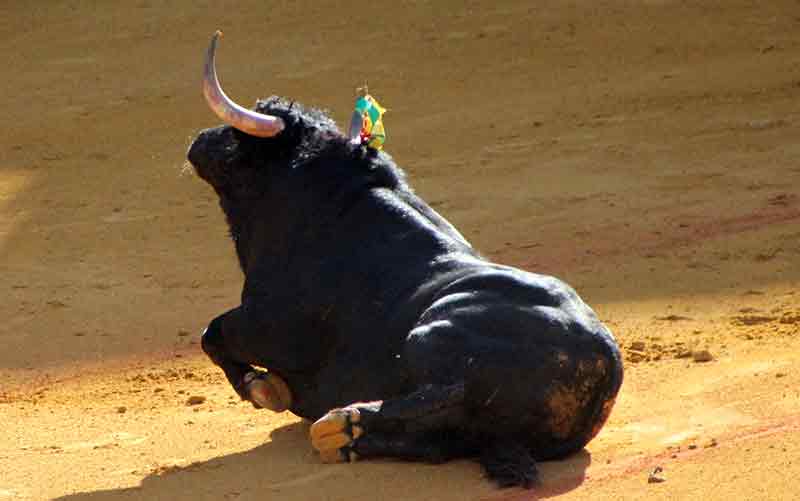 Maestranza, martes de farolillos.