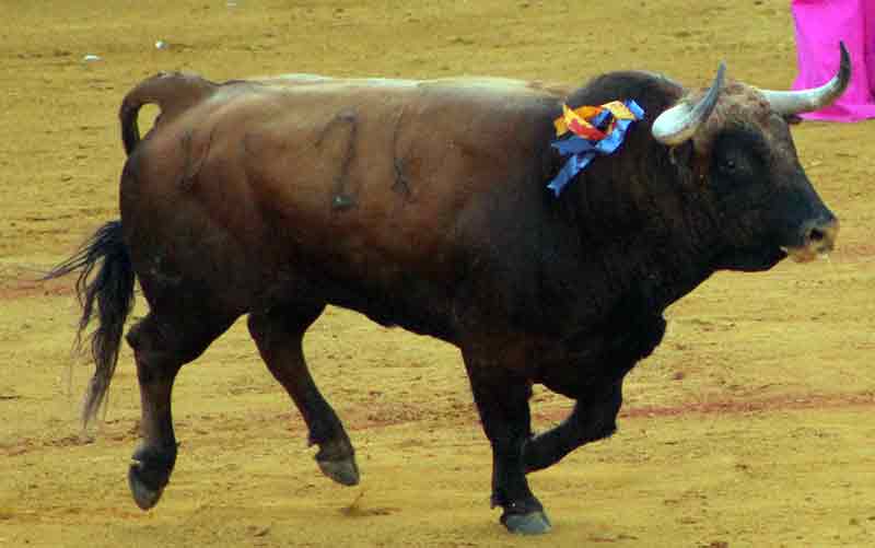 El tercero (Torrestrella)