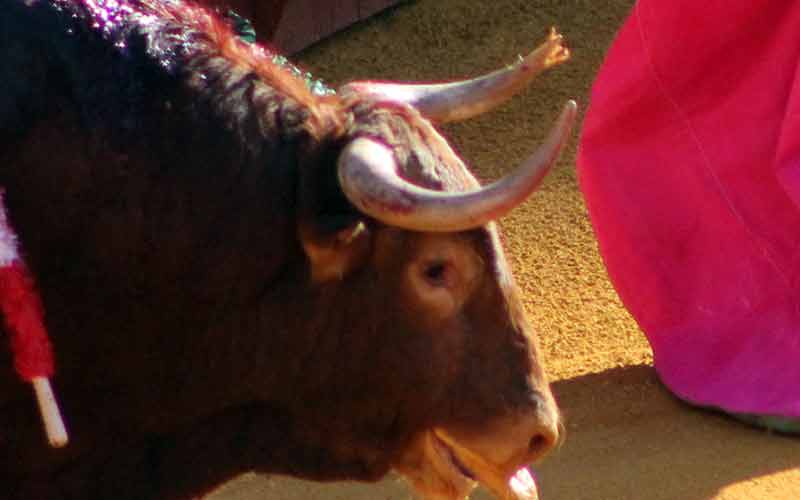 Maestranza, martes de farolillos.