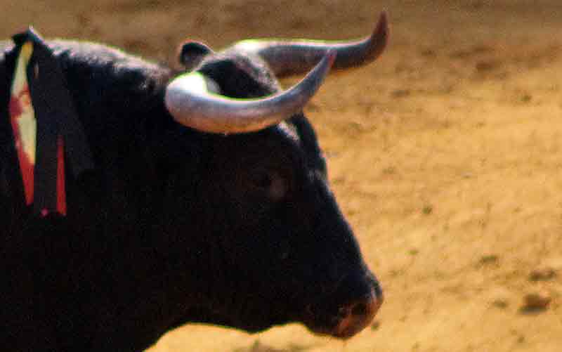 Maestranza, martes de farolillos.