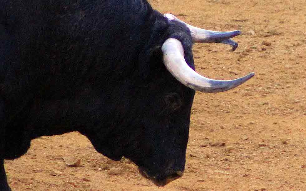 Maestranza, martes de farolillos.