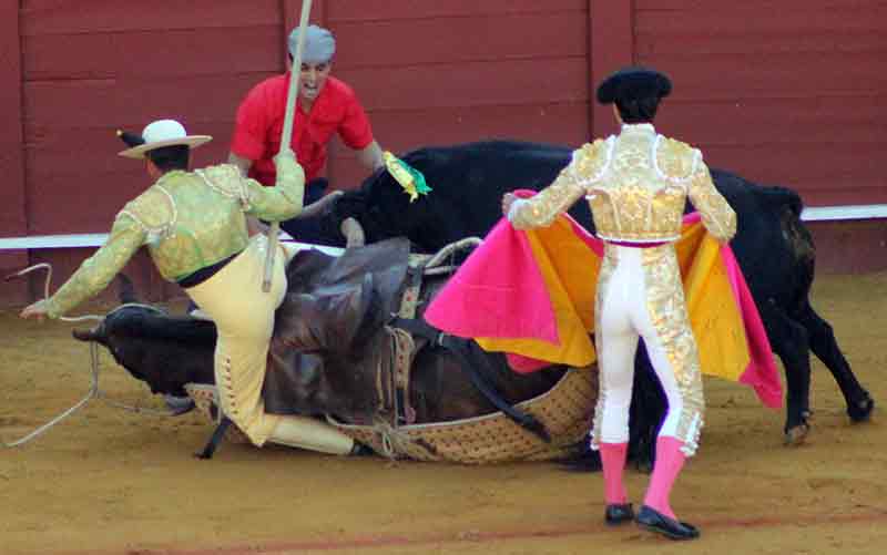 El toro le busca la vuelta...