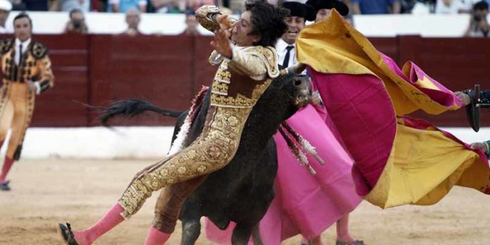 Sebastian Castella, colgado de los pitones del toro de Buenavista esta tarde en Osuna.