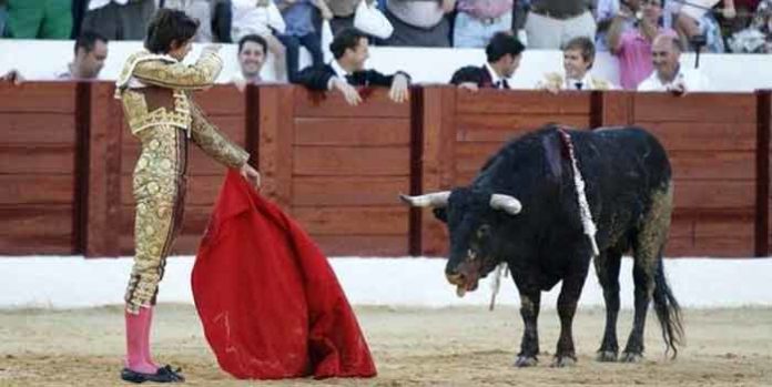 Castella simula la suerte de matar con el toro indultado en Osuna.