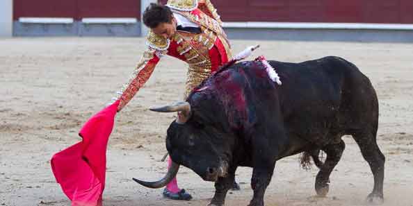 Un derechazo de El Cid esta tarde en Madrid. (FOTO: las-ventas.com)