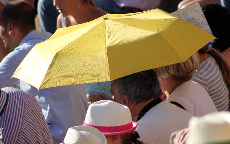 Mira que amarillo a los toros...