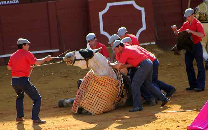 Los monosabios en acción.