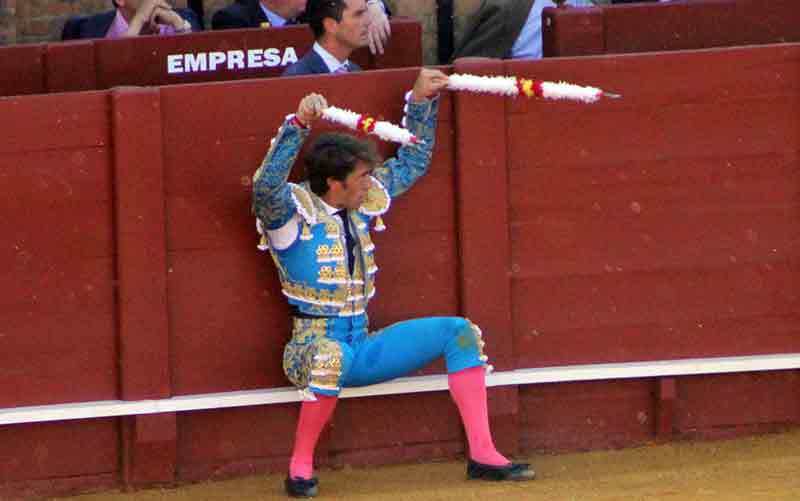 Escribano agachado con las banderillas.