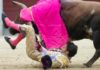 La voltereta de Nazaré esta tarde en Las Ventas que le ha provocado la grave lesión de ligamentos de la rodilla derecha. (FOTO: las-ventas.com)