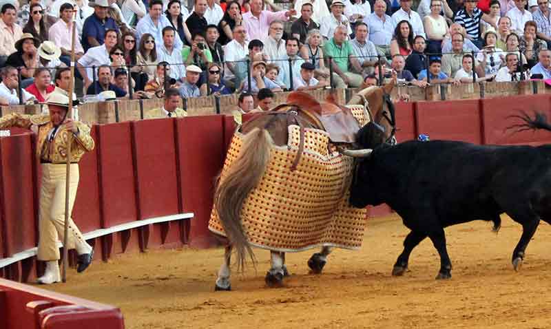 Picador descabalgado.