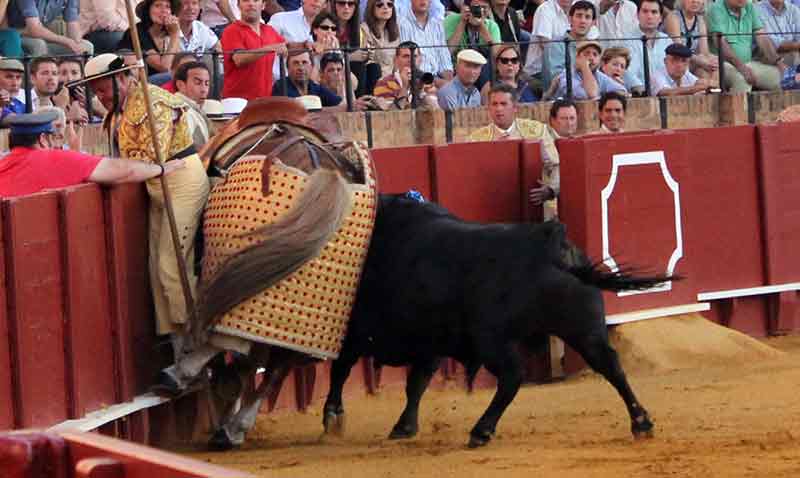 Entre las tablas y el caballo.