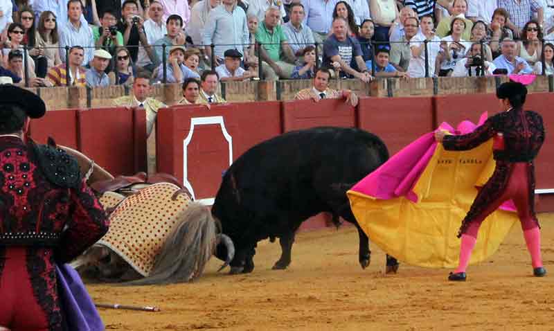 Caballo al descubierto.