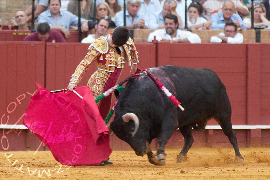 José Garrido.